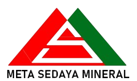 Logo MSM